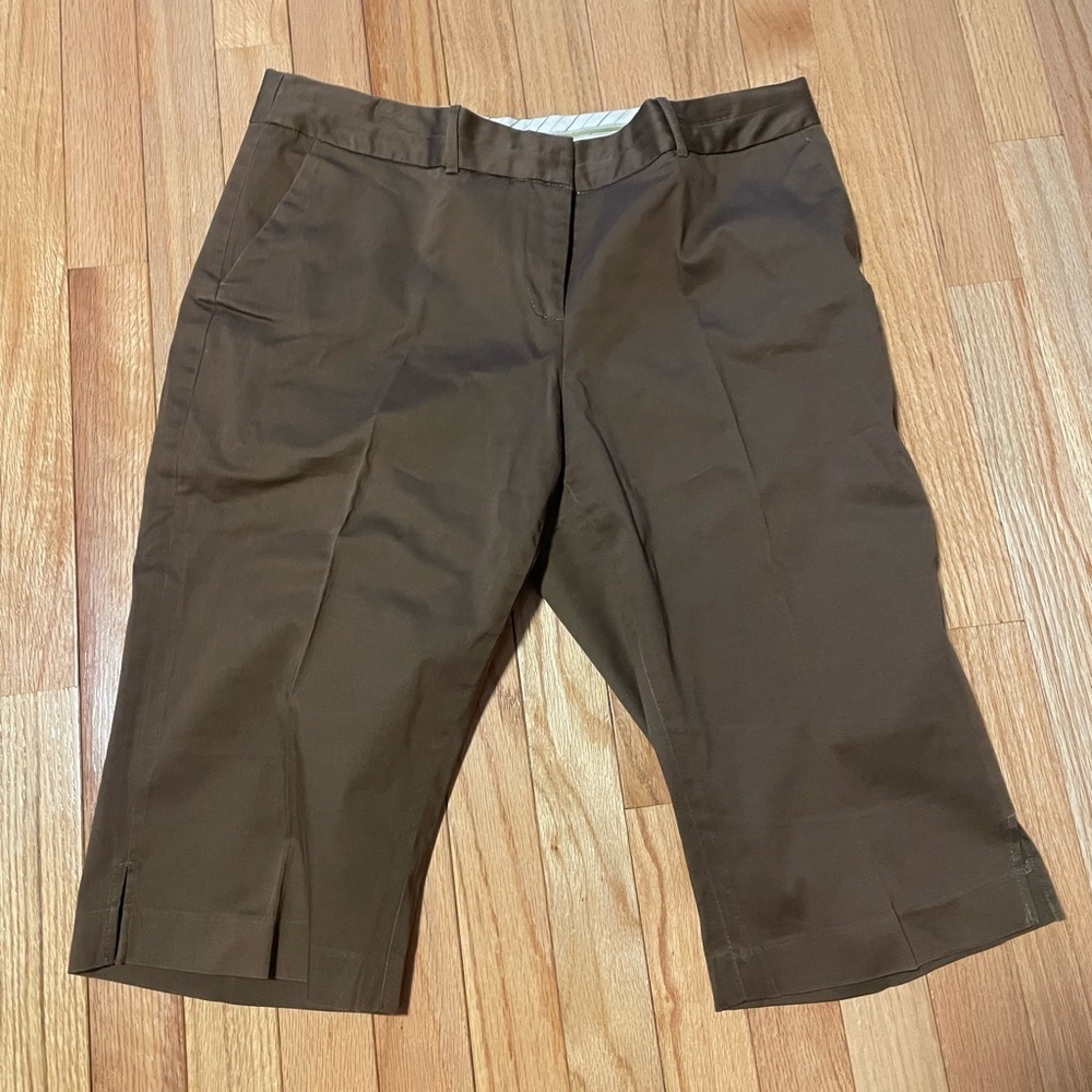 Dalia Collection Brown Cargo Shorts Size 10P